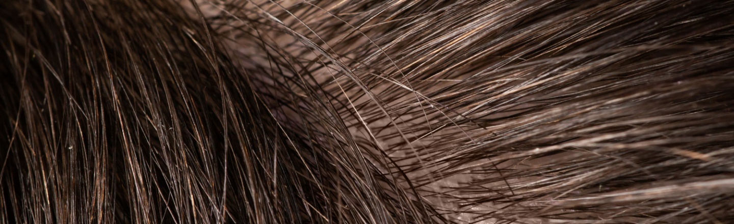 Composición del pelo