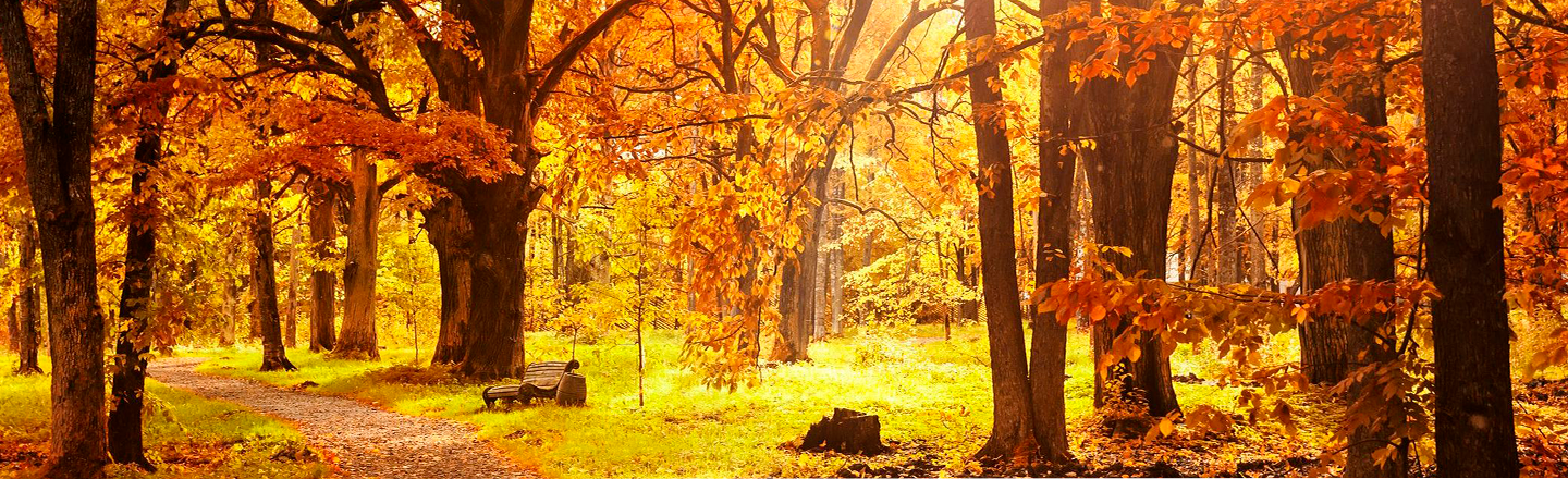 Sol de otoño