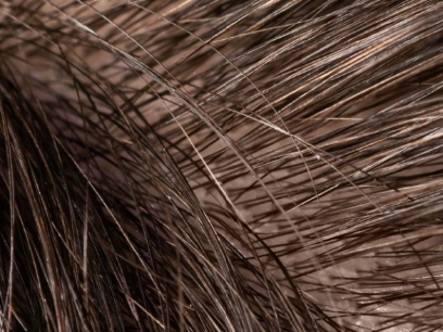 Composición del pelo