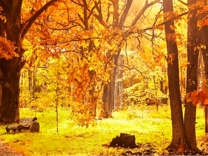 Sol de otoño