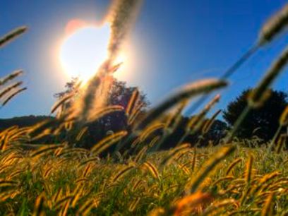 La-vitamina-del-sol-David-DeHetre-FINAL-1.jpg