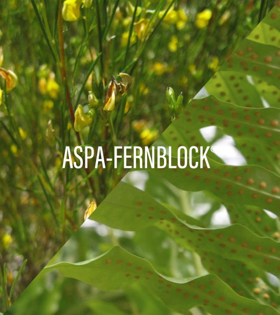 Tecnologia ASPA-FERNBLOCK®
